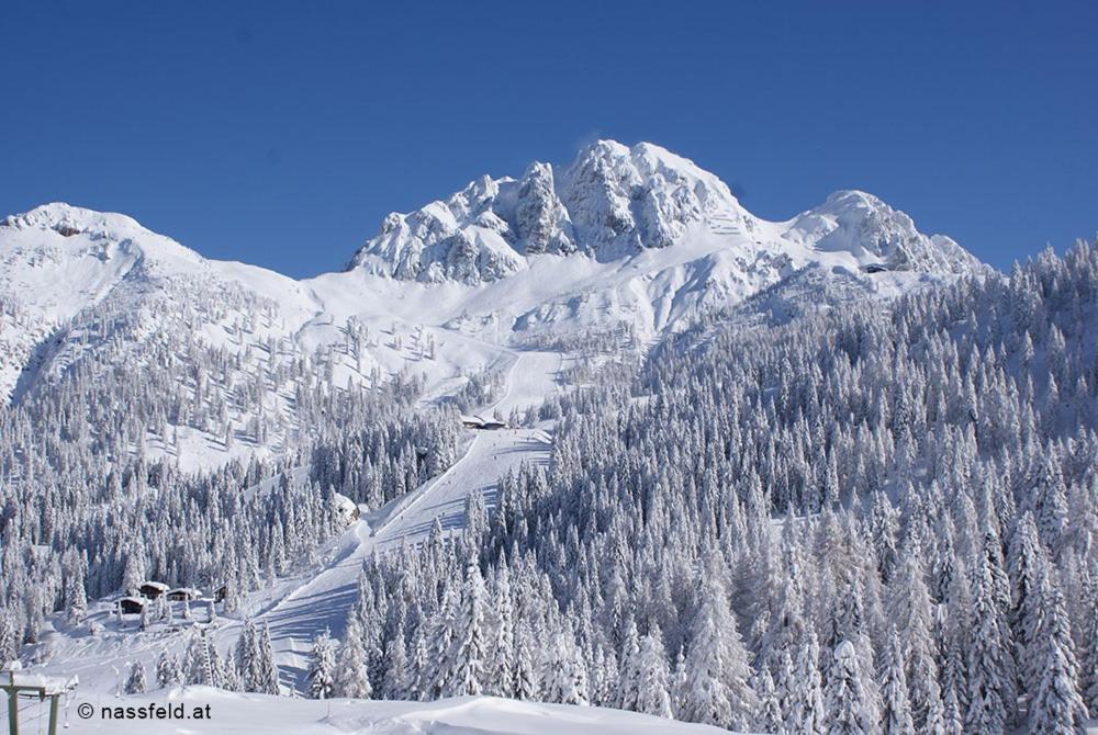 Haus Hoffmann Apartment Sonnenalpe Nassfeld Bagian luar foto